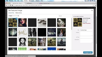 Acid Wordpress Theme - Setting up the Portfolio Case Study