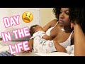 DAY IN THE LIFE OF A YOUTUBE MOM WITH A NEWBORN | VLOG