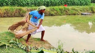 Very Amazing Net Fishing In River - Cast Old Net Fishing