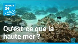 One Ocean Summit : qu'est-ce que la haute mer ? • FRANCE 24