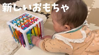 【生後8ヶ月】新しいおもちゃが届きました！なっちゃんの反応は！？