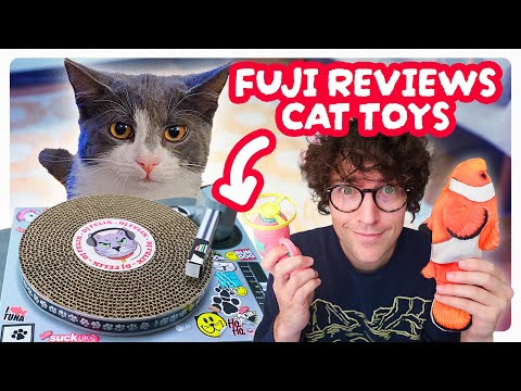 My Cat Reviews The BEST Cat Toys