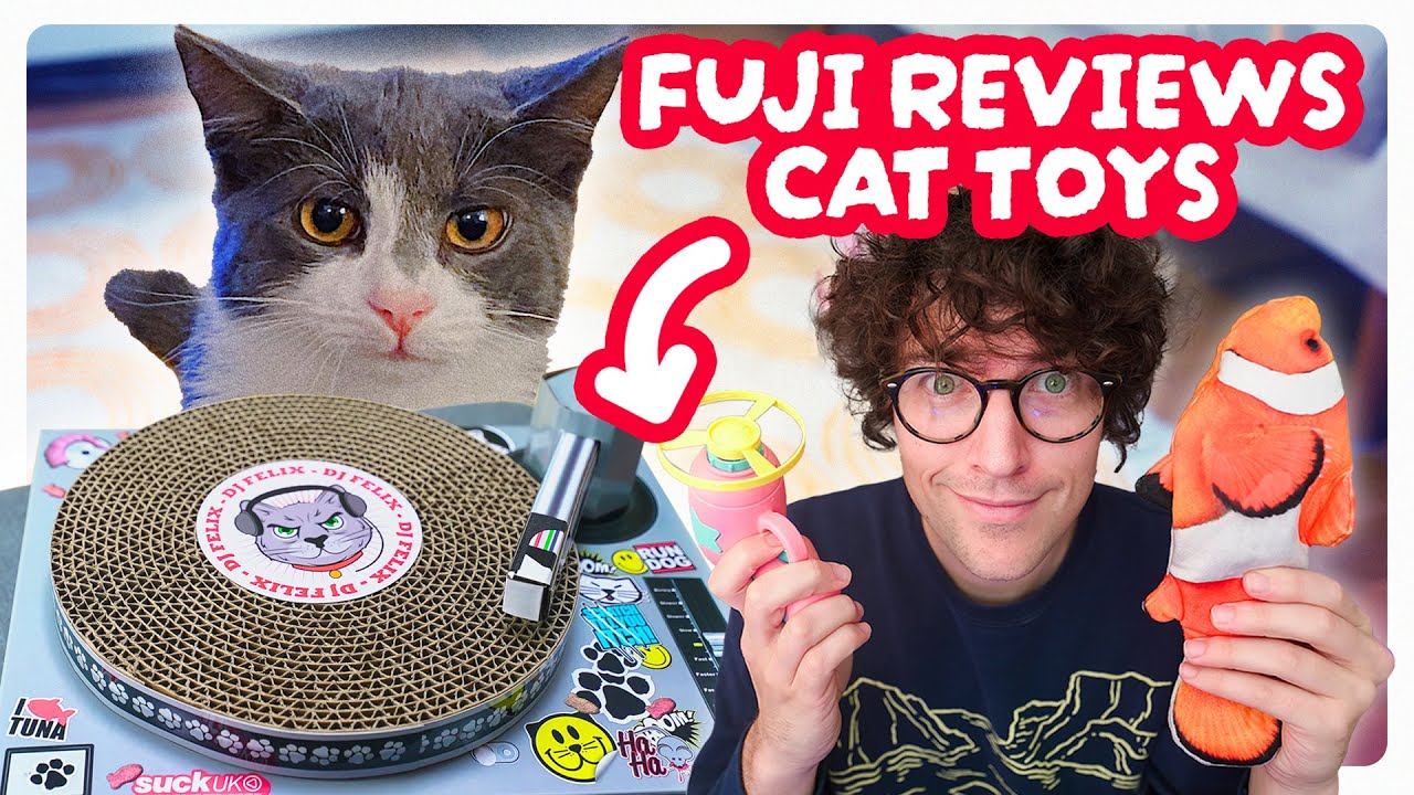 Best Cat Toys  Rover Kitties Put the Industry's Top Toys to the Test