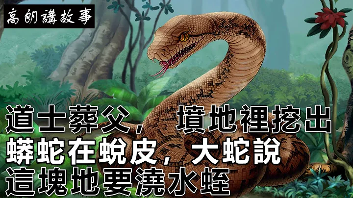 民间故事：道士葬父， 坟地里挖出，蟒蛇在蜕皮，大蛇说：这块地要浇水蛭｜高朗讲故事 - 天天要闻