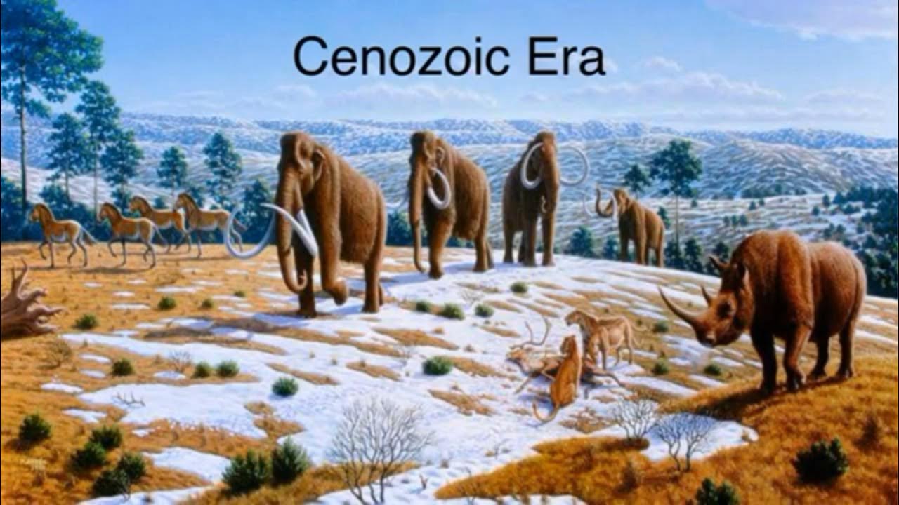 Cenozoic Era Size Comparison (Animals) ft. @MarioLanzas. - YouTube