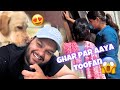 Ghar par aaya toofan simba abb bilkul thik hai vlog