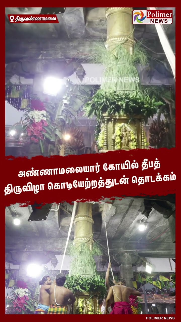 அண்ணாமலையார் கோயில் தீபத் திருவிழா கொடியேற்றத்துடன் தொடக்கம் #shorts