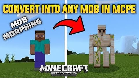 Minecraft morph Mod 1.19+ | Morph mod V5 | Fix all problem ||