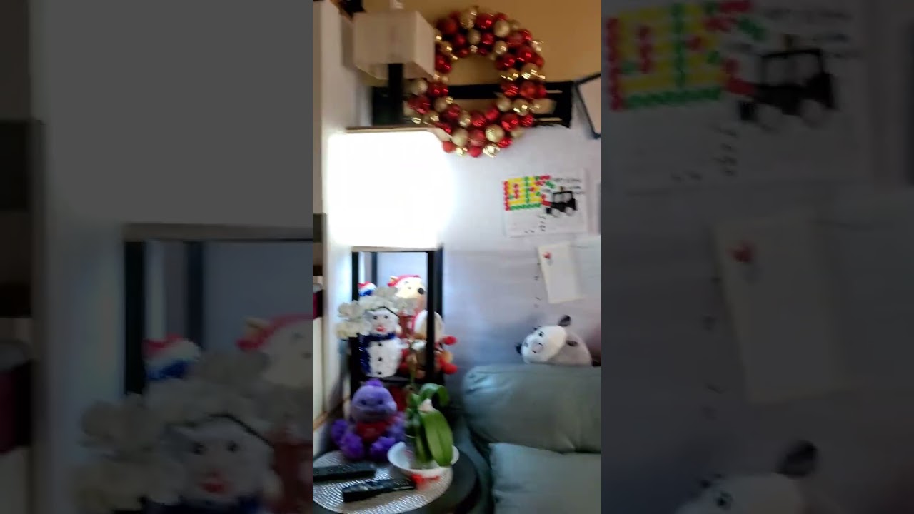 Canadian wildfires 2024 bring hazy skies to NY