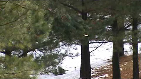 Allyn Morrow Makes A Nice Drive In The Snow