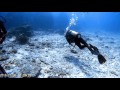 Diving in praslin island seychelles