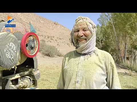 تریشل کدون گندم و ریشقه و فکاهی های جالب کربلایی در حالت ماندگی و خسته گی