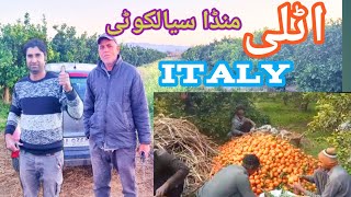 agriculture work in Italy|ایگریکلچر ورک ان اٹلی|salary par month