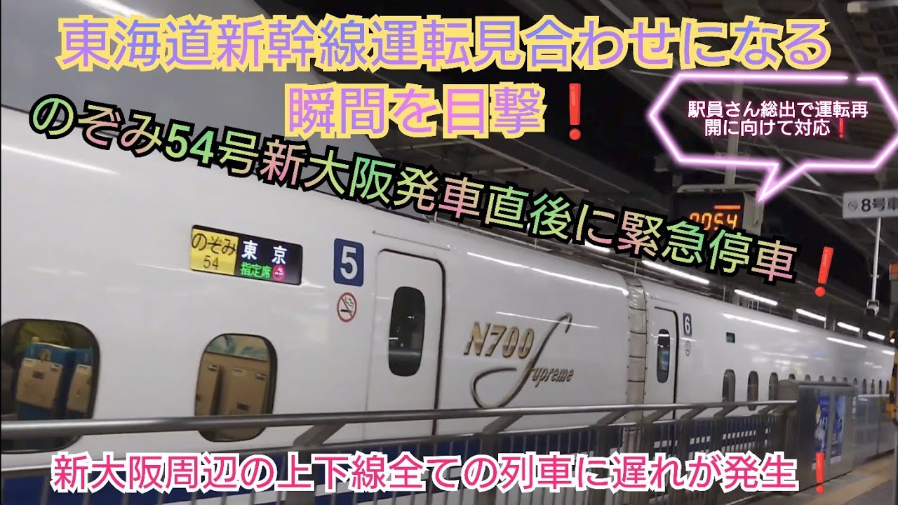 【東海道新幹線・新大阪駅で起きた悲劇❗】のぞみ452号＆のぞみ54号の過密ダイヤによる発着に感動していたらのぞみ54号が発車直後に緊急停車❗更に新大阪周辺の列車全て運転見合わせになる事態に❗