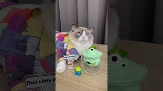 How Cats cooking campillation cats amazing  smart cats  1232 5 by DJ REAT REMAX BLOGGER 1 view 1 year ago 3 minutes, 30 seconds