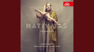 De herdetjes lagen bij nachte