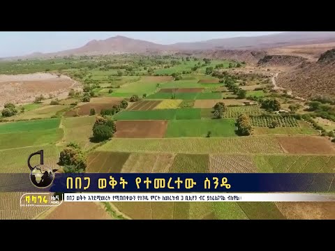 ቪዲዮ: በበጋ ወቅት ሌብስን እንዴት እንደሚለብስ (ከስዕሎች ጋር)