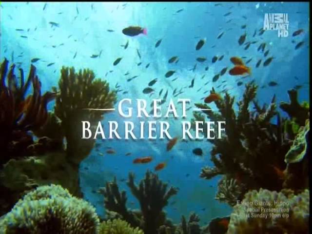 Great Barrier Reef