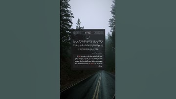 تلاوة عطرة من سوره الفتح