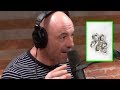 Joe Rogan: Why You Should Be Eating More Oysters