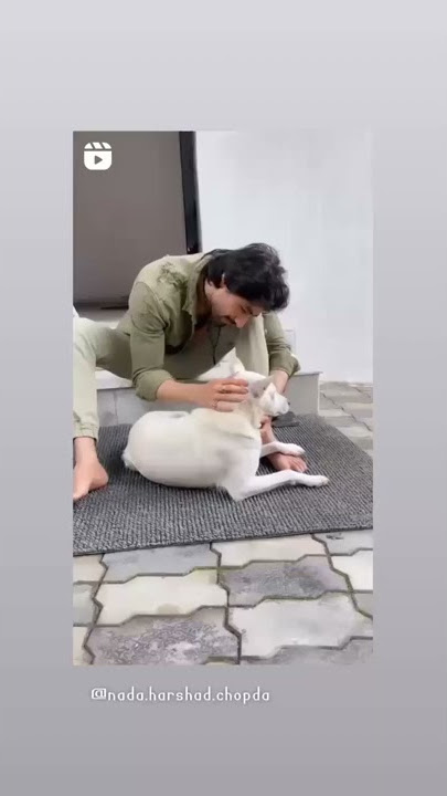 Harshad Chopra is petting his dog 🐕❤️love u guy animals love💕