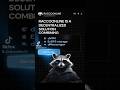 dVPN Raccoonline. How to Mine ROCC on Android