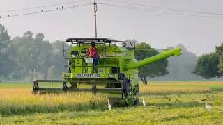 Gillpreet 962 combine harvester machine #harvestar #farmingpassion #agriculture 