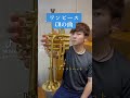 ワンピースのCMの曲をトランペットで吹いてみた！【ONE PIECE】