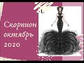 Скорпион октябрь 2020 Таро прогноз