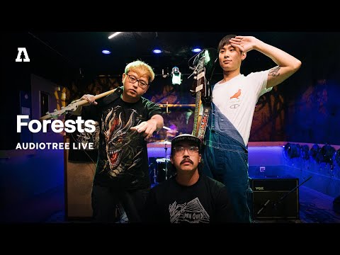 Forests on Audiotree Live (Full Session)