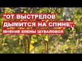 "От выстрелов дымится на спине". Мнение Елены Шуваловой