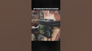 Why Soldiers Blow Up Trees With C4 Explosives