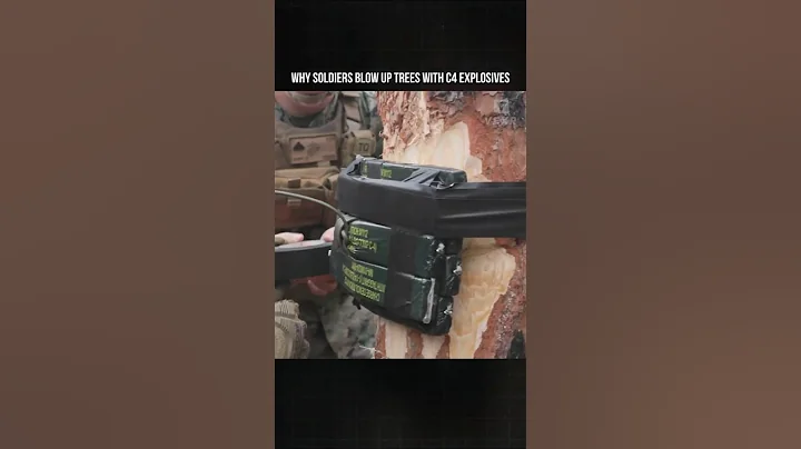 Why Soldiers Blow Up Trees With C4 Explosives