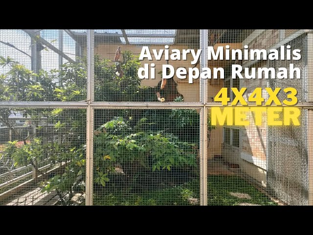 Aviary Minimalis di Depan Rumah Ukuran 4x4x3 Meter class=