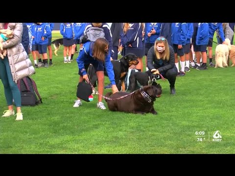 Old Mission School students bring pets to ‘Blessing of the Animals’