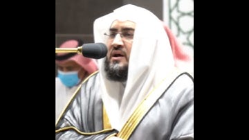 تلاوة مرئية سورة الزخرف الشيخ بندر بليلة