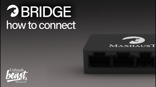 Connecting the Maxhaust Bridge! New Hardware, New APP, new Sounds! screenshot 3