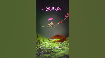 لحن الروح 