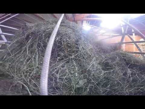 inneda isch gheuet - YouTube