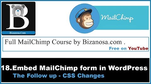 18  Mailchimp signup Form on WordPress CSS   Bizanosa.com