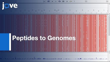 Post-translational Modification and Mapping of Peptides to Genomes | Protocol Preview