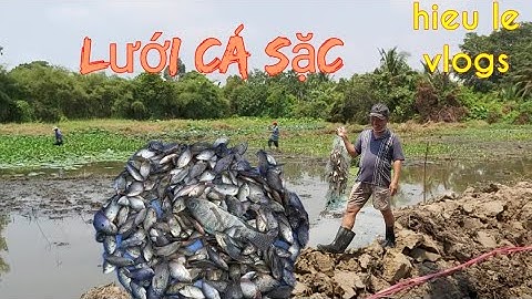 Lưới cá sặc làm khô mùa dịch corôna-hieule vlogs.