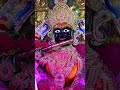 જય શ્રી સ્વામિનારાયણ જય શ્રી ગોપીનાથજી મહારાજ #dharmkul #svg #love #song #shyam #lovesong #sorts