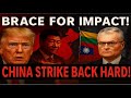 Lithuania vs. China: The Cost of Supporting Taiwan