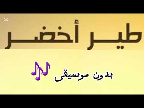 طير اخضر طير مبرقع بدون موسيقى اغاني تيك توك 2025