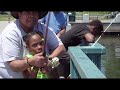 Middle of video