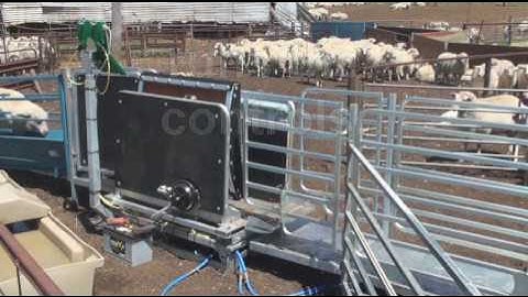 WeighEzy Autodrafter @ HP