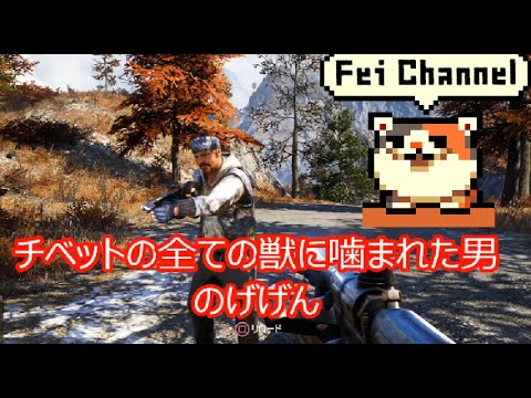Fei Channel