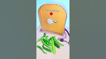 Chilli Cutting machine DIY home #dcmotor #youtubeshorts #shorts #motor#diy #apnitechnique9