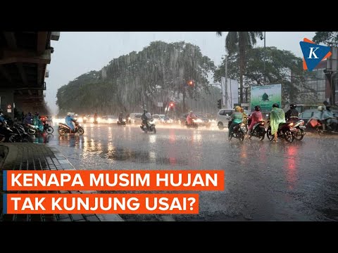 Indonesia Memasuki Musim Kemarau pada Maret 2024, Kenapa Masih Hujan?